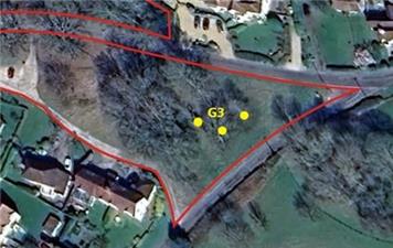 Tree Work - Staplefield